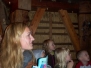 Schoolbezoek De Branding