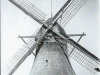 Grote molen Waard Nieuwland